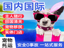 三源浦空运公司国际宠物托运 【国
